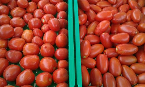 POMODORO SAN MARZANO