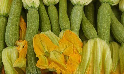 ZUCCHINE CON FIORE