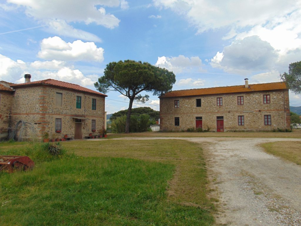 azienda-agricola-f.lli-pellegrini